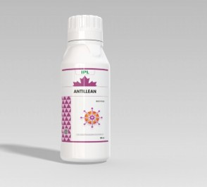 ANTILLEAN