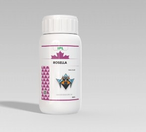 ROSELLA